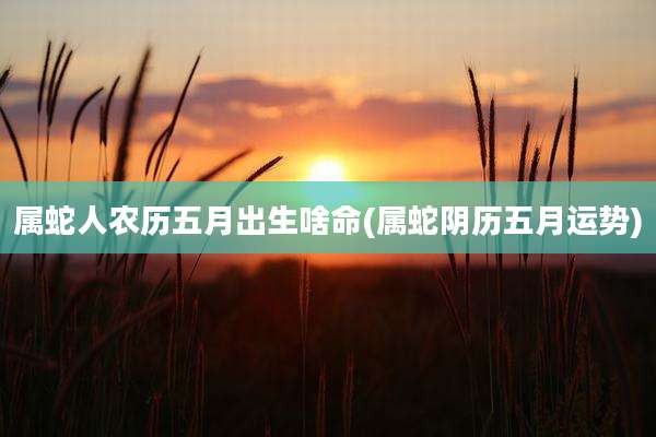 属蛇人农历五月出生啥命(属蛇阴历五月运势)