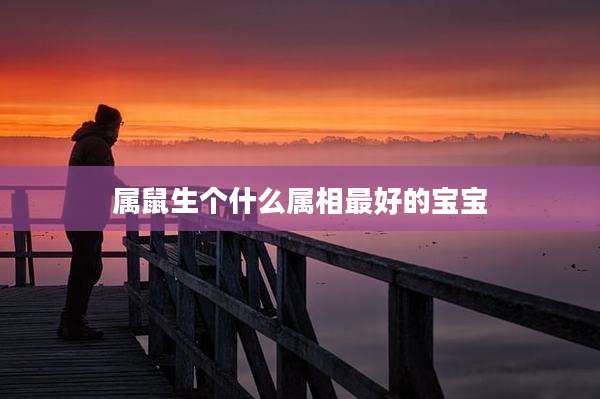 属鼠生个什么属相最好的宝宝