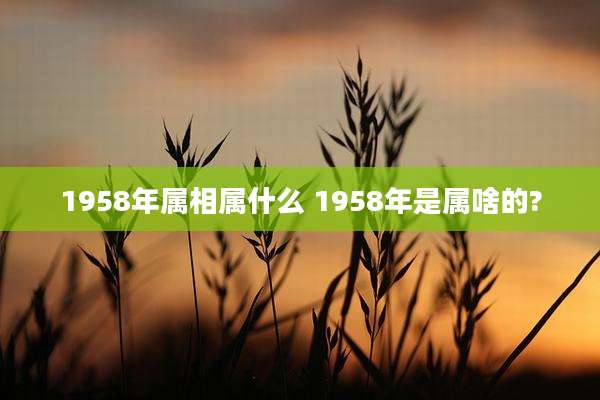 1958年属相属什么 1958年是属啥的?