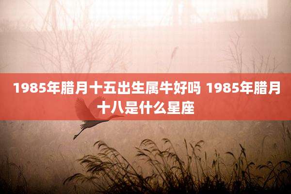 1985年腊月十五出生属牛好吗 1985年腊月十八是什么星座