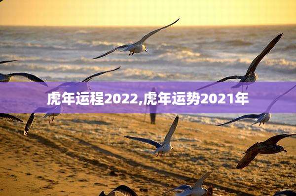 虎年运程2022,虎年运势2021年