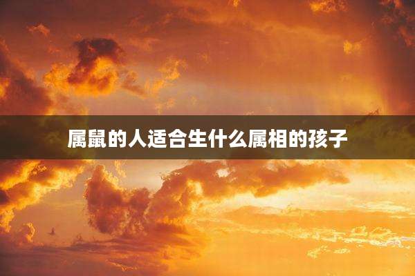 属鼠的人适合生什么属相的孩子