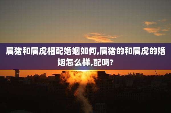 属猪和属虎相配婚姻如何,属猪的和属虎的婚姻怎么样,配吗?