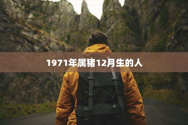 1971年属猪12月生的人