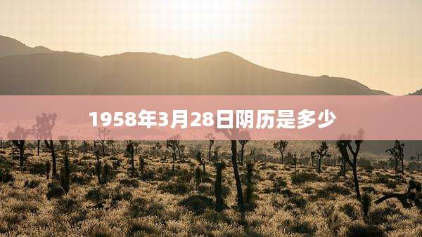 1958年3月28日阴历是多少