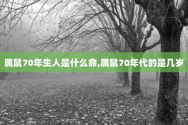 属鼠70年生人是什么命,属鼠70年代的是几岁