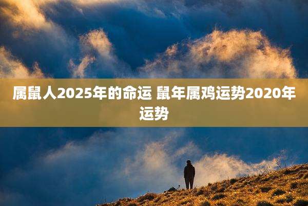 属鼠人2025年的命运 鼠年属鸡运势2020年运势