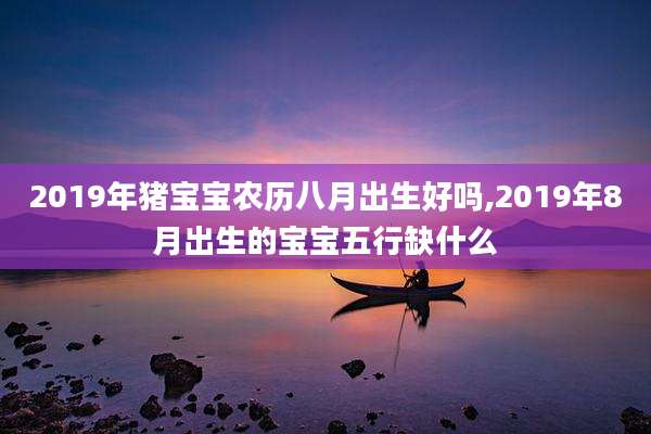 2019年猪宝宝农历八月出生好吗,2019年8月出生的宝宝五行缺什么
