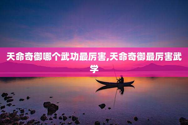 天命奇御哪个武功最厉害,天命奇御最厉害武学