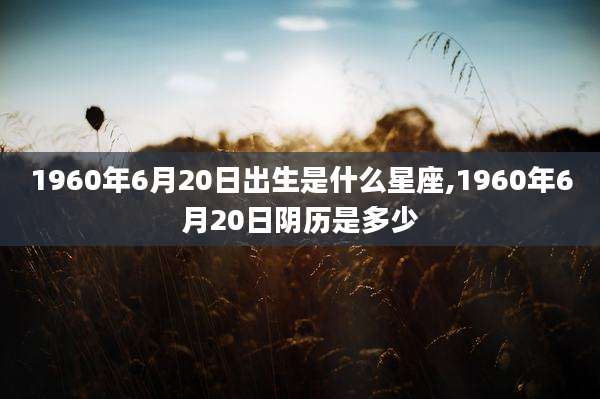 1960年6月20日出生是什么星座,1960年6月20日阴历是多少