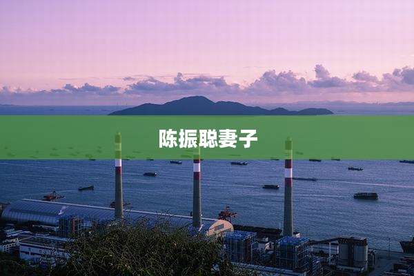 陈振聪妻子