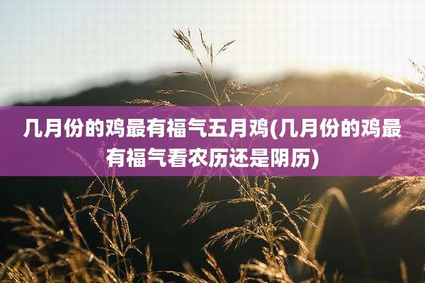 几月份的鸡最有福气五月鸡(几月份的鸡最有福气看农历还是阴历)