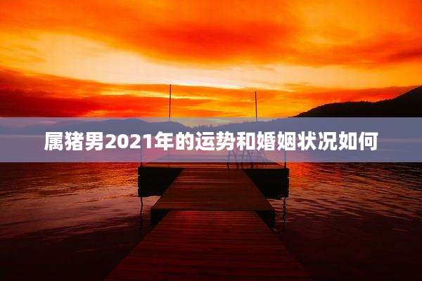 属猪男2021年的运势和婚姻状况如何
