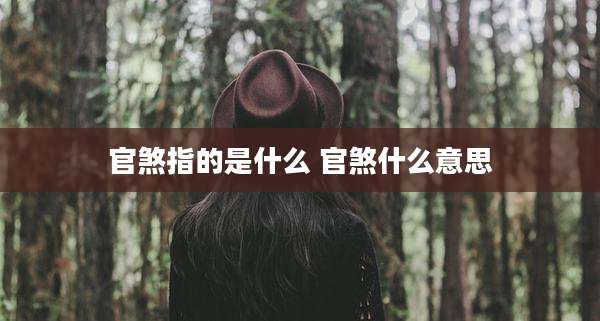 官煞指的是什么 官煞什么意思