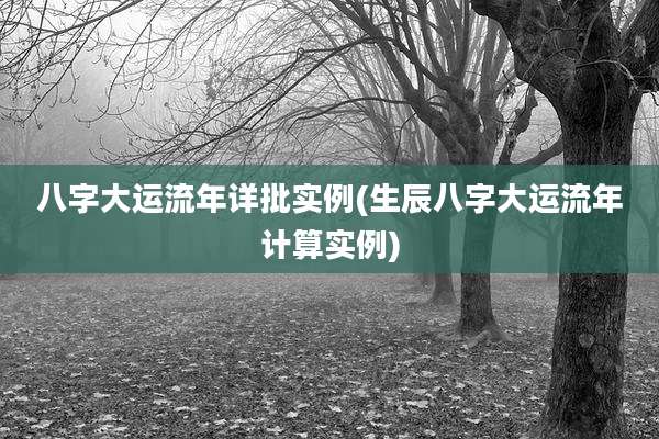 八字大运流年详批实例(生辰八字大运流年计算实例)