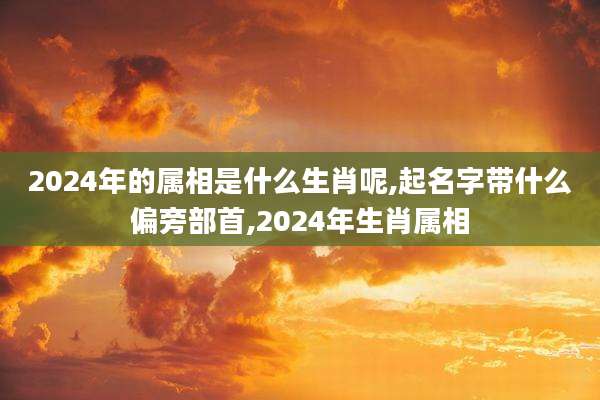 2024年的属相是什么生肖呢,起名字带什么偏旁部首,2024年生肖属相