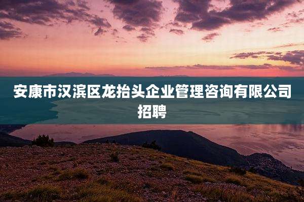 安康市汉滨区龙抬头企业管理咨询有限公司招聘