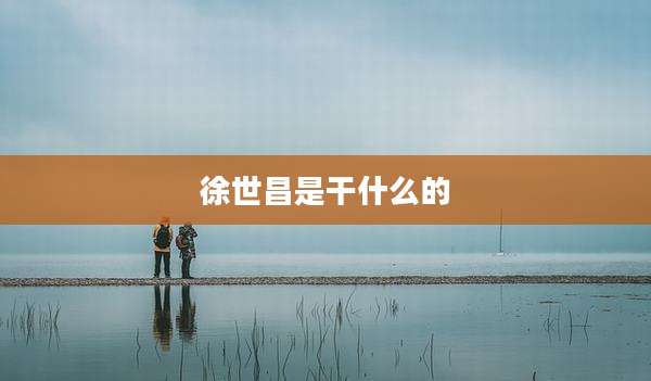 徐世昌是干什么的
