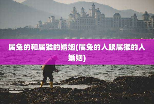 属兔的和属猴的婚姻(属兔的人跟属猴的人婚姻)