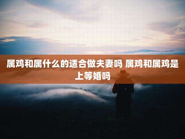 属鸡和属什么的适合做夫妻吗 属鸡和属鸡是上等婚吗
