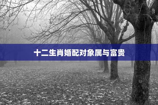 十二生肖婚配对象属与富贵