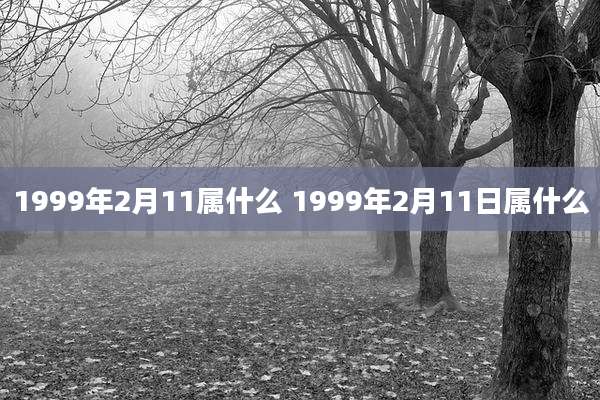1999年2月11属什么 1999年2月11日属什么