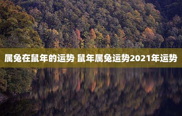 属兔在鼠年的运势 鼠年属兔运势2021年运势