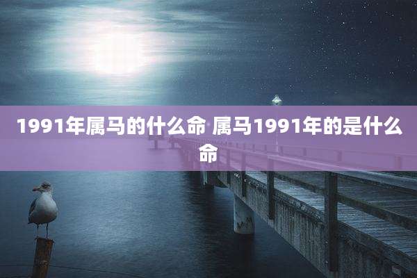 1991年属马的什么命 属马1991年的是什么命