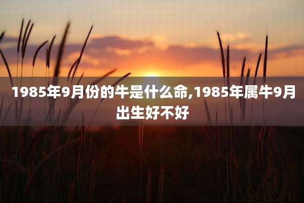 1985年9月份的牛是什么命,1985年属牛9月出生好不好