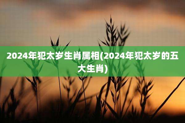 2024年犯太岁生肖属相(2024年犯太岁的五大生肖)