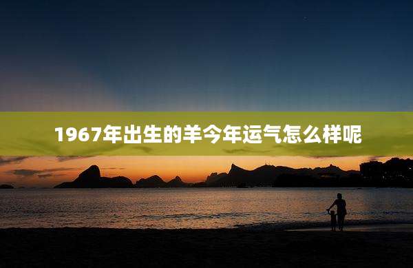 1967年出生的羊今年运气怎么样呢