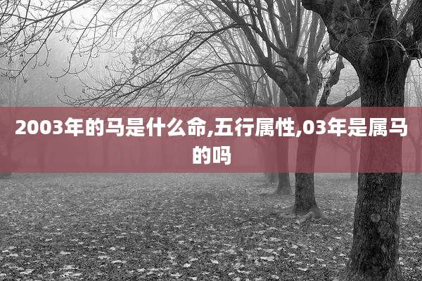 2003年的马是什么命,五行属性,03年是属马的吗