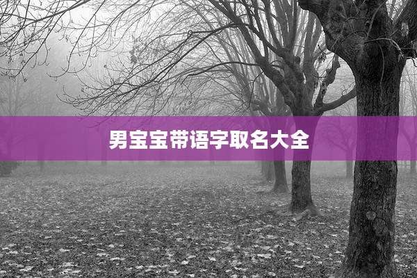 男宝宝带语字取名大全
