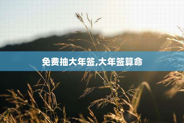 免费抽大年签,大年签算命