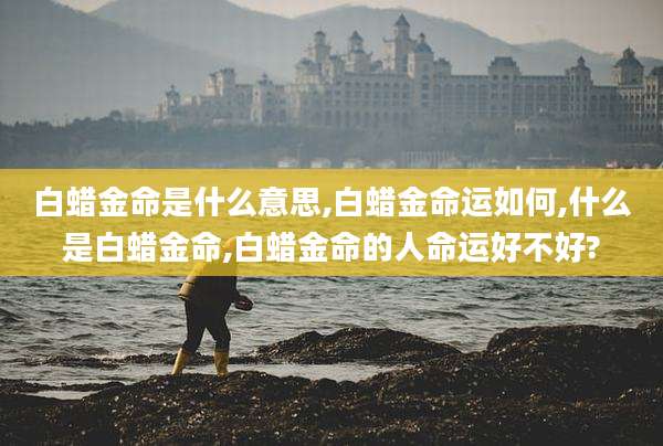 白蜡金命是什么意思,白蜡金命运如何,什么是白蜡金命,白蜡金命的人命运好不好?