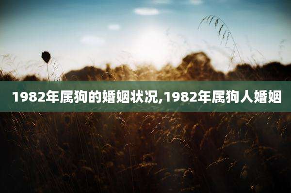 1982年属狗的婚姻状况,1982年属狗人婚姻
