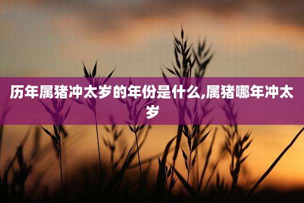 历年属猪冲太岁的年份是什么,属猪哪年冲太岁