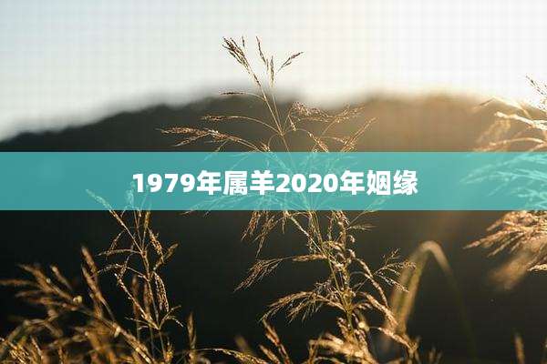 1979年属羊2020年姻缘