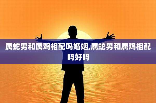 属蛇男和属鸡相配吗婚姻,属蛇男和属鸡相配吗好吗