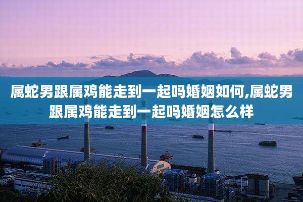 属蛇男跟属鸡能走到一起吗婚姻如何,属蛇男跟属鸡能走到一起吗婚姻怎么样