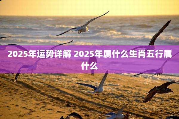 2025年运势详解 2025年属什么生肖五行属什么
