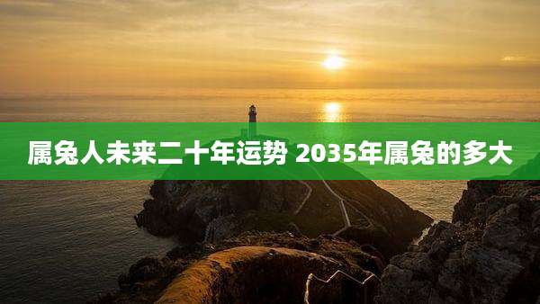 属兔人未来二十年运势 2035年属兔的多大