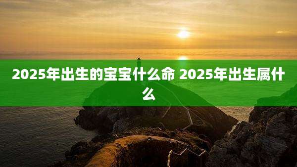 2025年出生的宝宝什么命 2025年出生属什么