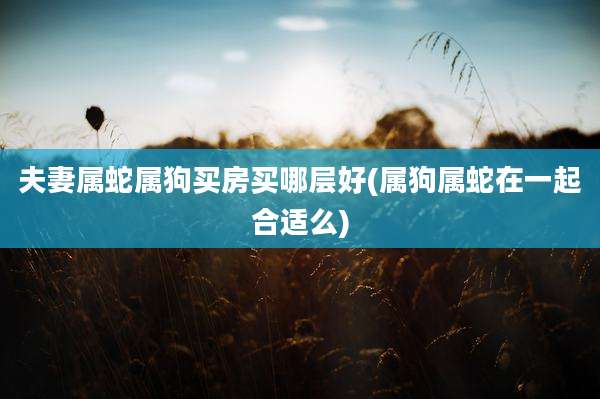 夫妻属蛇属狗买房买哪层好(属狗属蛇在一起合适么)