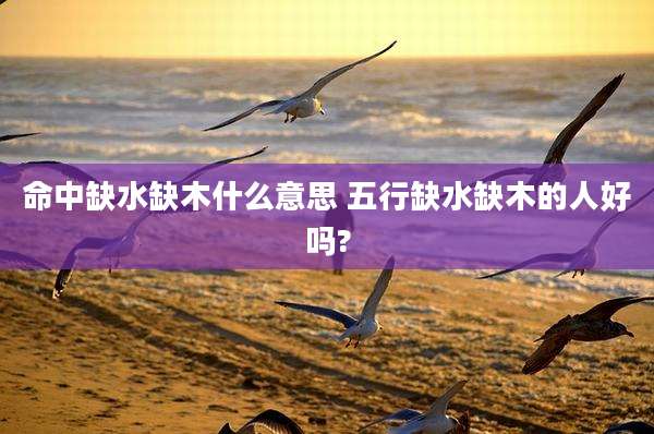 命中缺水缺木什么意思 五行缺水缺木的人好吗?