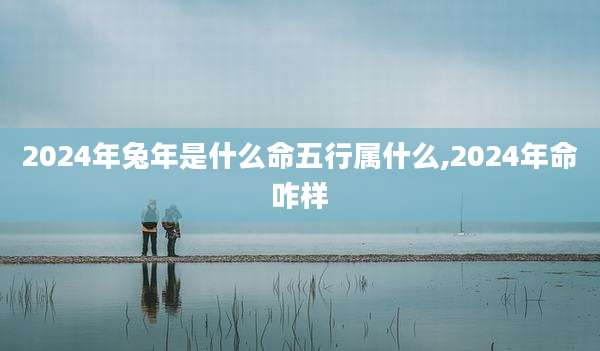 2024年兔年是什么命五行属什么,2024年命咋样