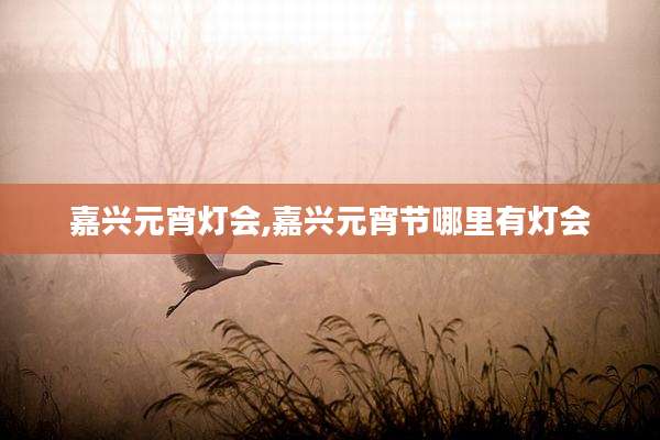嘉兴元宵灯会,嘉兴元宵节哪里有灯会