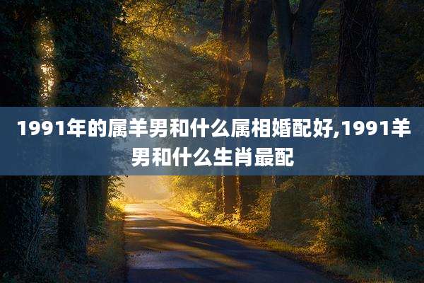 1991年的属羊男和什么属相婚配好,1991羊男和什么生肖最配