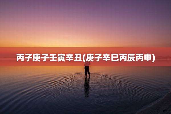 丙子庚子壬寅辛丑(庚子辛巳丙辰丙申)