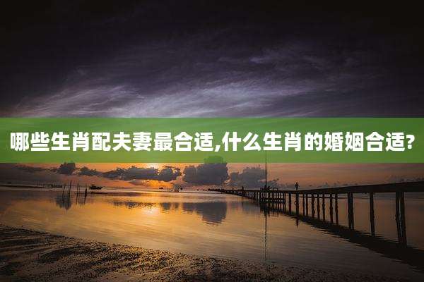 哪些生肖配夫妻最合适,什么生肖的婚姻合适?